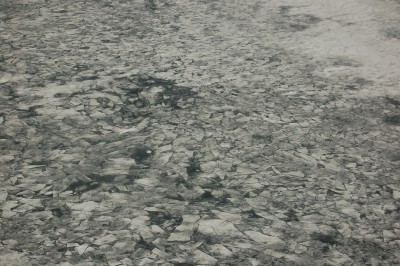 DSC_0193.JPG