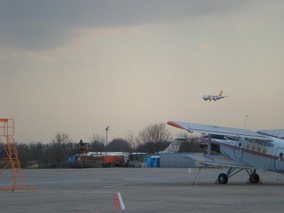 sized_DSCN2294.JPG