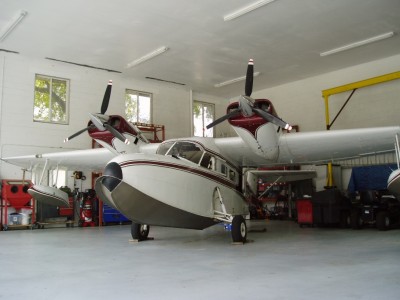 Widgeon1.JPG