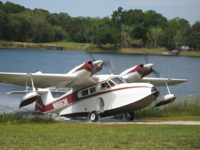 Widgeon2.jpg