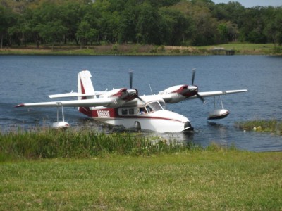 Widgeon3.jpg