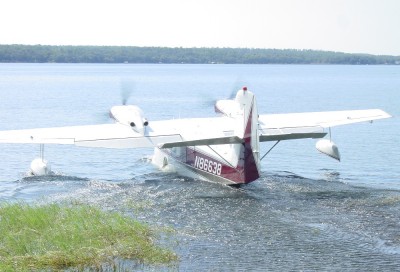 Widgeon4.JPG