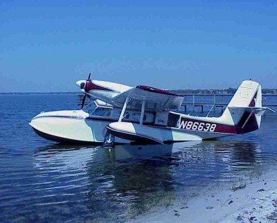 Widgeon5.jpg