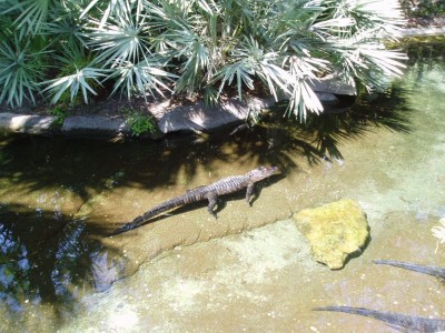 SeaWorld4.JPG