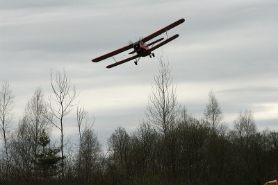 IMG_6233.JPG