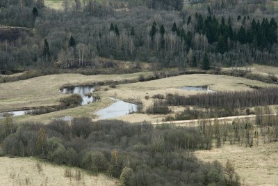 IMG_6260.JPG