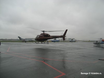 sized_IMG_3284.JPG