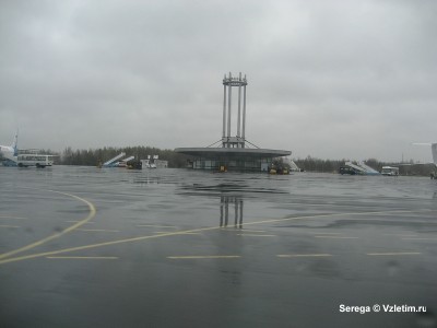 sized_IMG_3275.JPG
