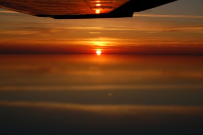 DSC_0222.JPG