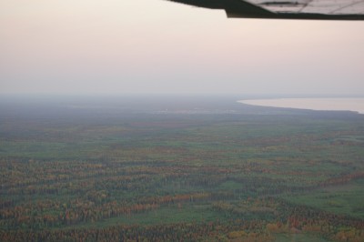 VIDLA - Видлица.