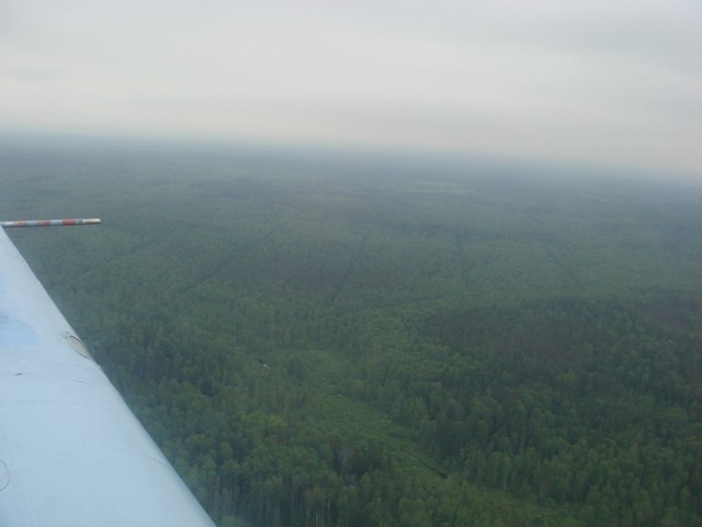 sized_DSC09016.JPG