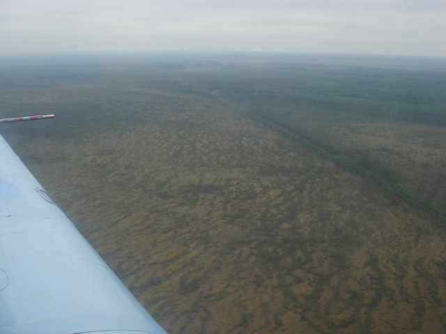 sized_DSC09023.JPG