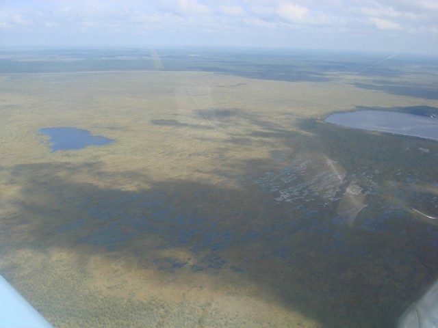 sized_DSC09039.JPG