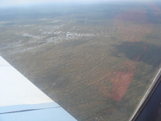 sized_DSC09045.JPG