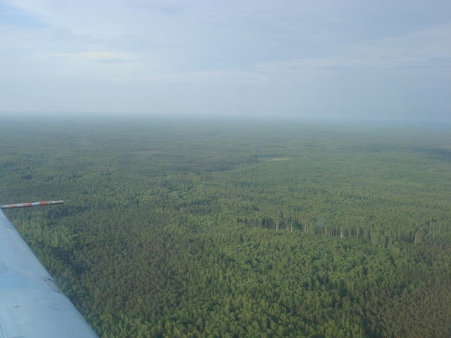 sized_DSC09076.JPG