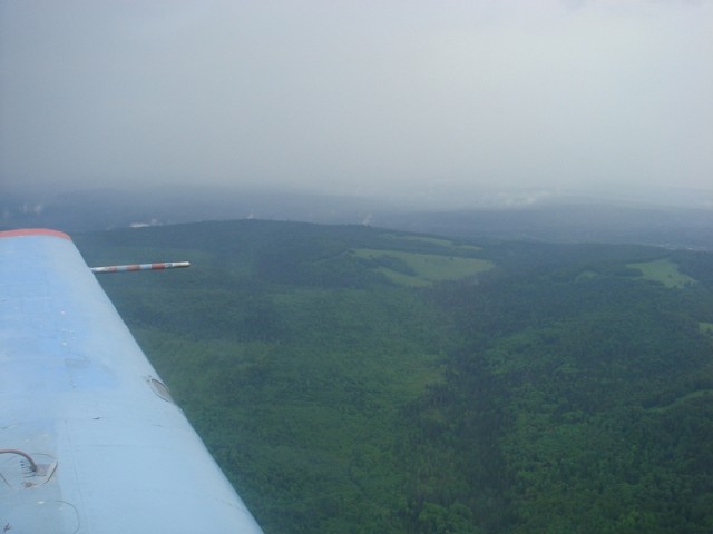 sized_DSC09100.JPG