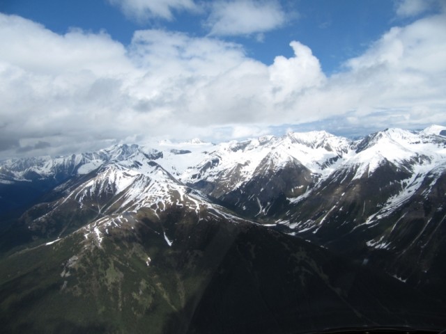 IMG_0388.jpg