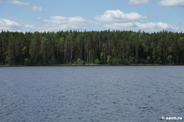 sized_IMG_1116.JPG