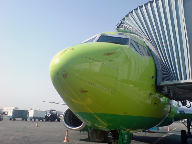 bird2.JPG