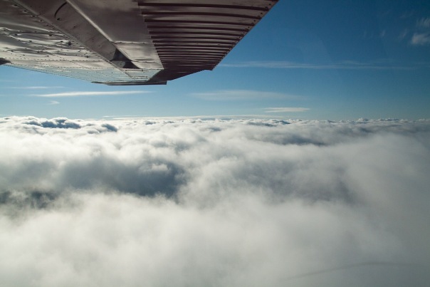 x_a154b738.jpg