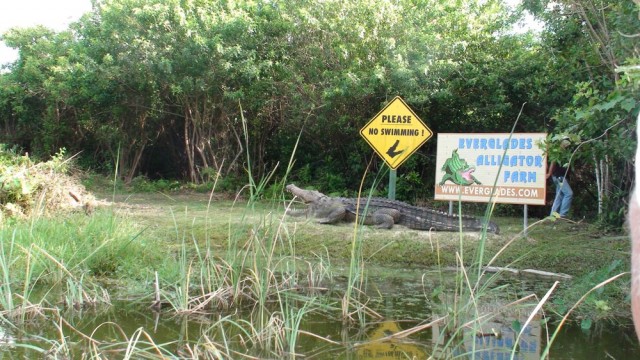 DSC00798.jpg (184.44 КБ) 9580 просмотров DSC00798.jpg