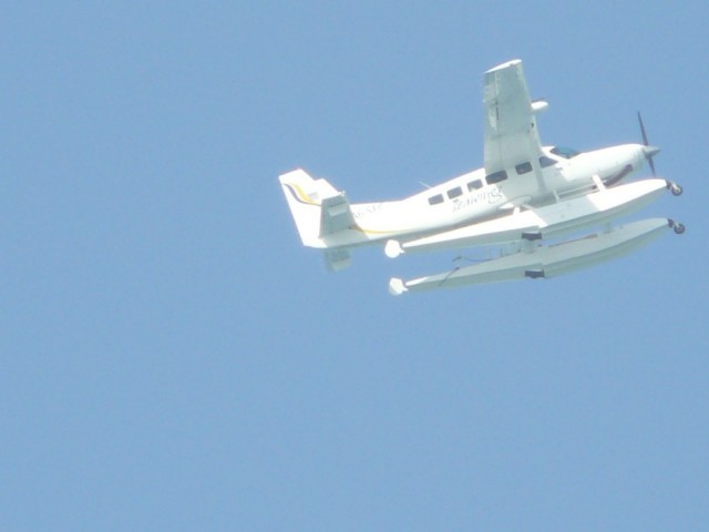 P1050384.JPG