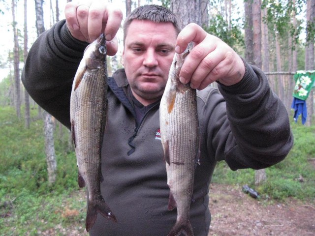 Хариус.jpg