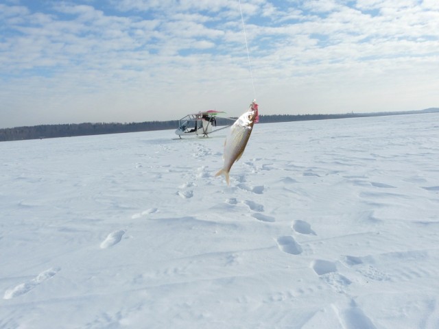 P1050784.JPG