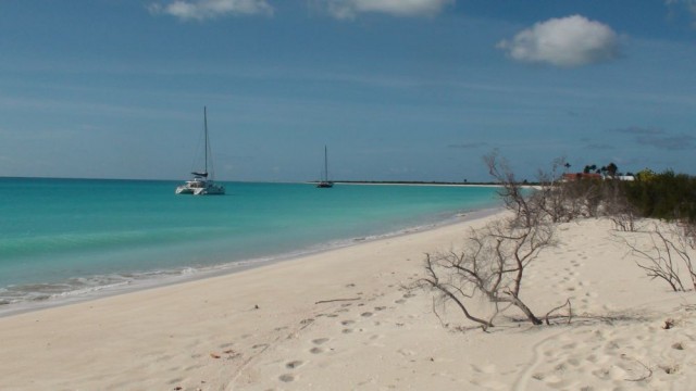 DSC00887.jpg