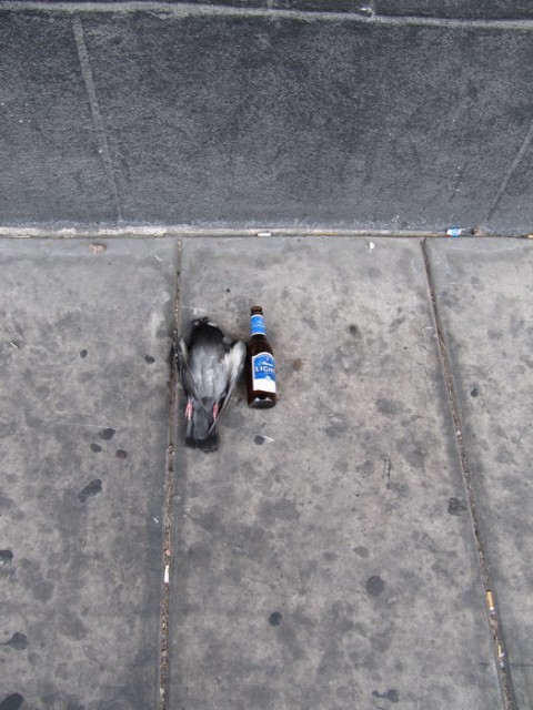 IMG_4316_новый размер.JPG (168.38 КБ) 6666 просмотров IMG_4316_новый размер.JPG