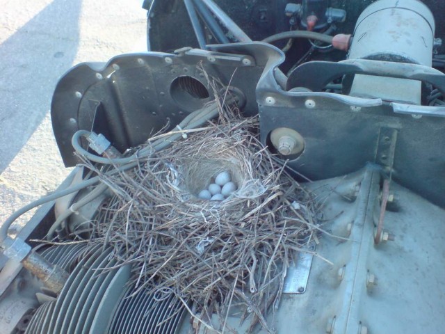 DSC01442_.JPG