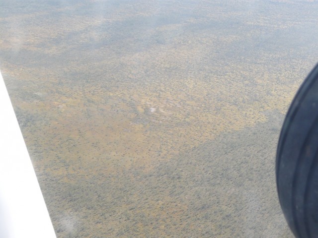 P1060421.JPG