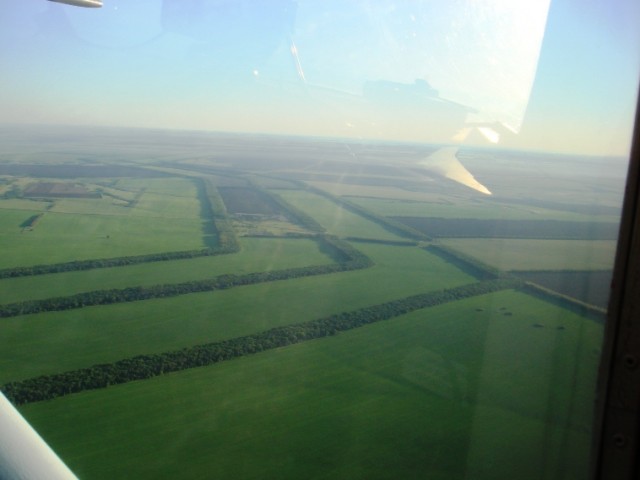 DSC01946.JPG