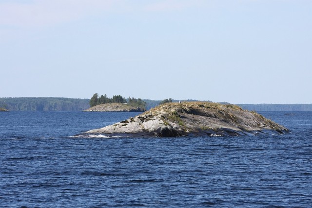 saIMG_7682.JPG