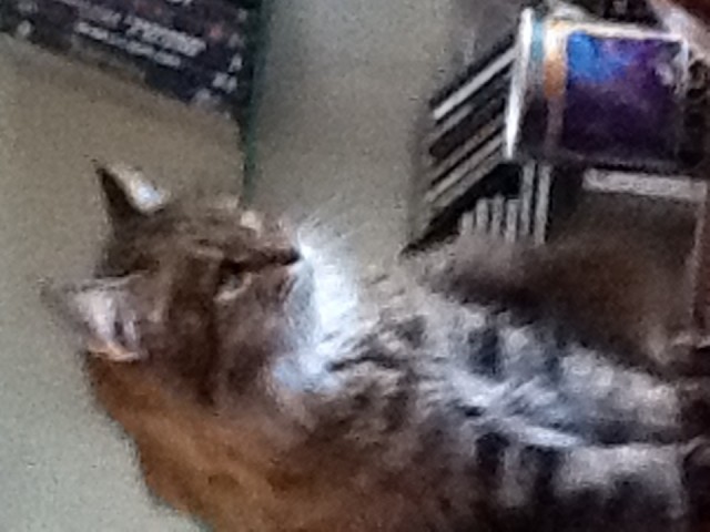 332183707.447658.jpg (127.27 КБ) 8283 просмотра Вставлено с iPad