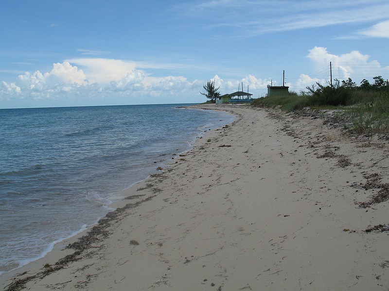sIMG_6725.JPG