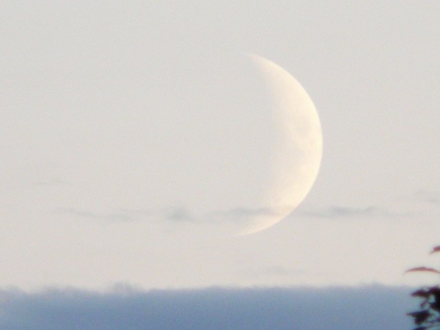 P1060688.JPG
