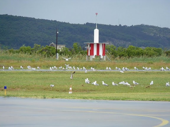 P1050621.JPG