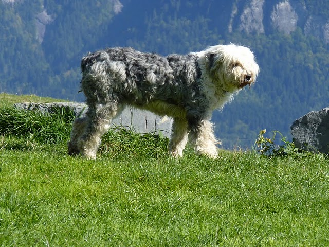 P1060080.JPG