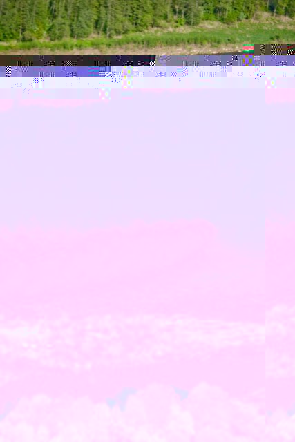 1-5685.jpg