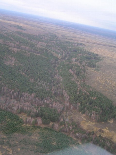 sized_PB049864.JPG