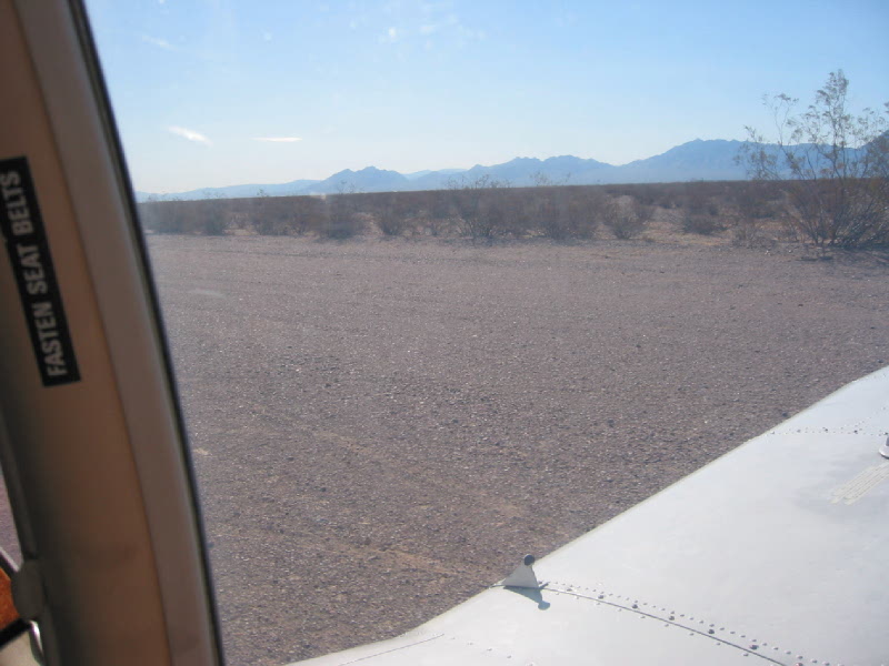 p4.jpg