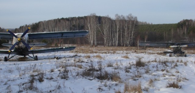 123.JPG