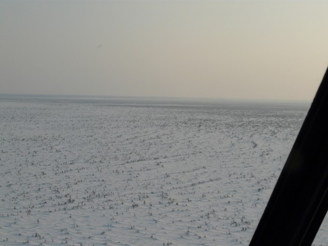 P1080961.JPG