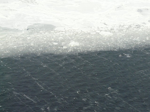 P1090057.JPG
