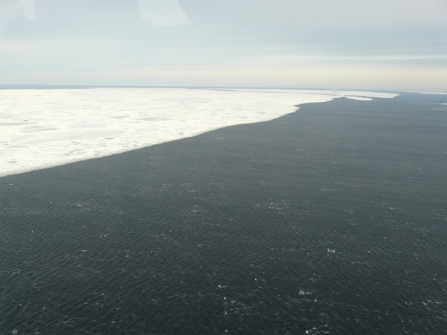 P1090056.JPG