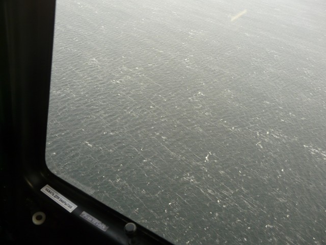 P1090055.JPG
