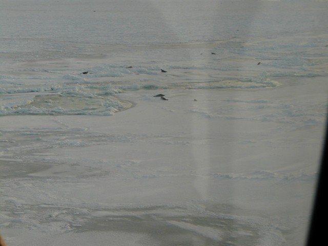 P1090068.JPG