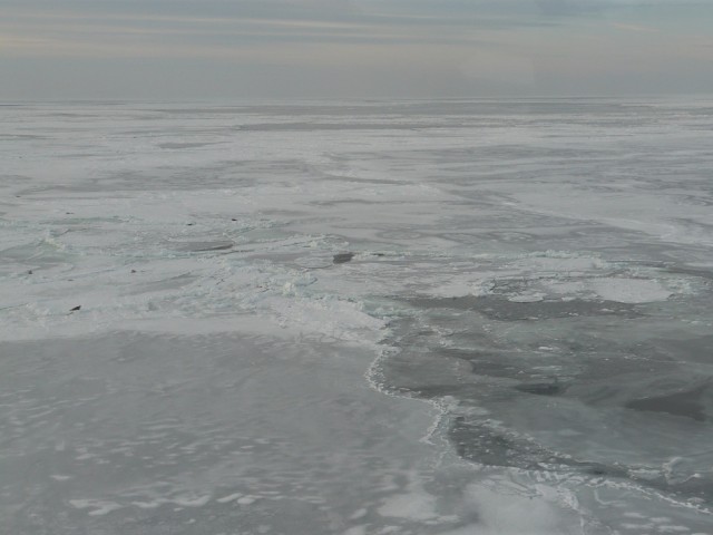 P1090065.JPG