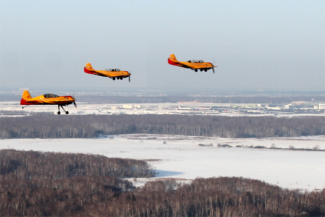 domodedovo.jpg